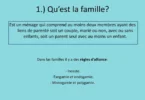 200 Mb/s est-ce suffisant pour une famille