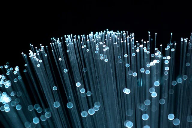 Fibre optique