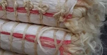 Fibre pour commerce au Maroc